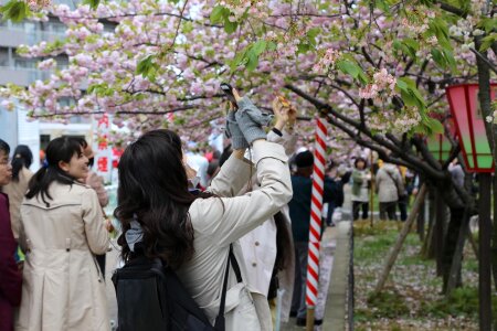 Girl asian people photo