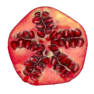 Exotic red healthy