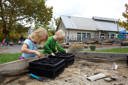 Children planting acorns-1 photo