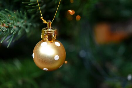 Christmas Tree golden glow golden shine photo