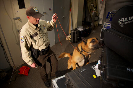 Law enforcement with K-9-1
