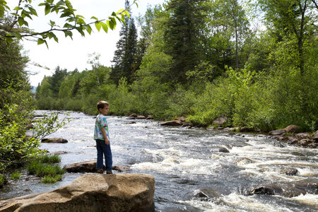 Child looking at the stream photo