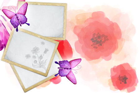 Vintage pink background with frames photo