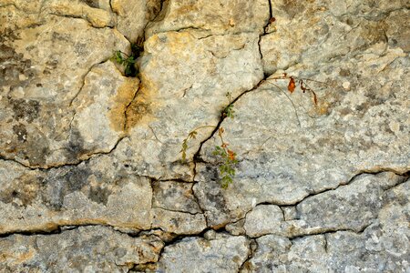 Cracked cracks fouling photo