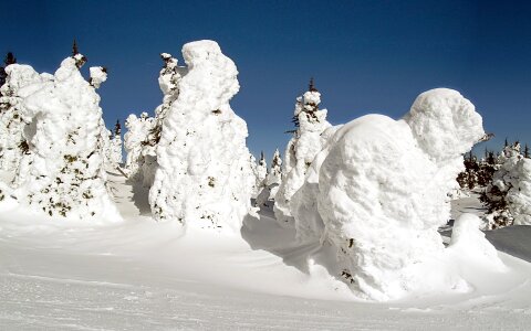 Snow ghosts sun peaks canada photo