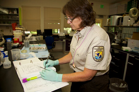 Scientist at Lower Columbia River Fish Health Center-2 photo