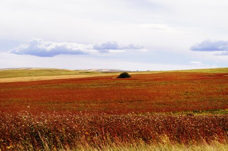 Space clouds meadow photo