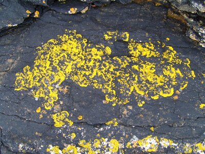Rock stone stones