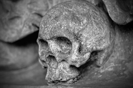 Skeleton mortal stone photo