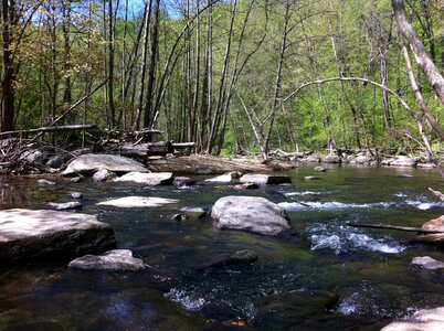 Stream in Shenandoah National Park photo