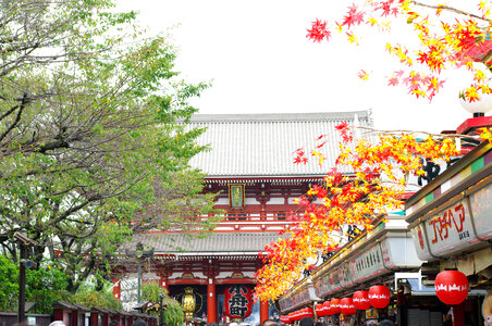 8 Sensouji temple photo