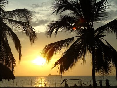 Sunset beach palmas