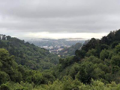 Forest hilltop panorama photo