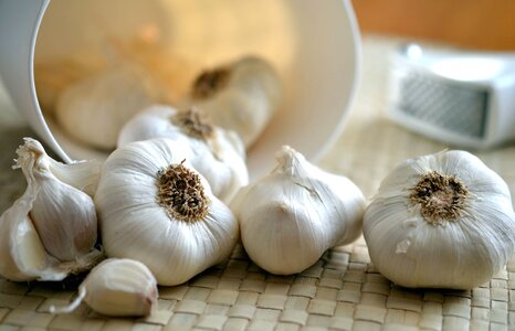 Cooking food garlic