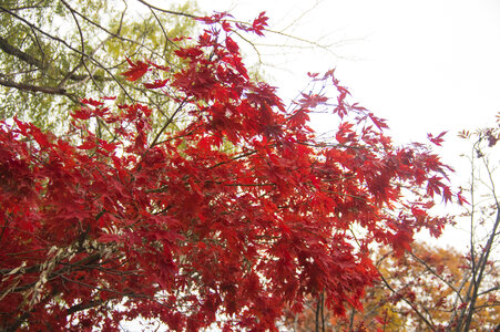 7 Nakajima park