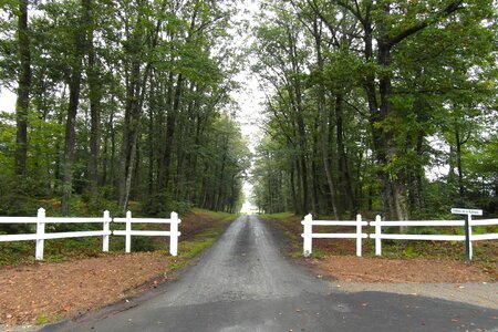 Driveway fence picket