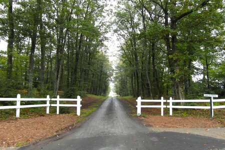 Driveway fence picket photo