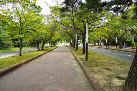 7 Uminonakamichi
