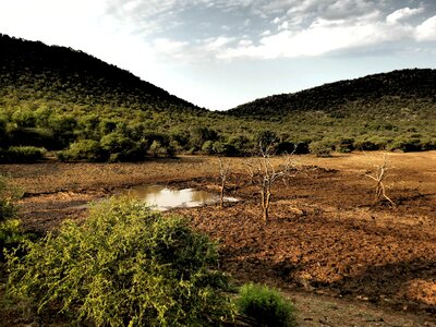 Africa nature wild