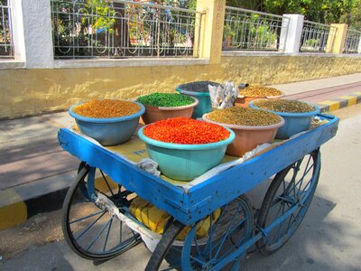Colorful beans exotic