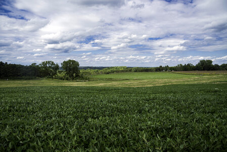 Farm and Landscape at Pope Conservancy in Middleton