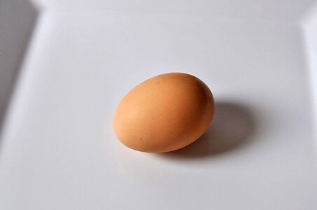 Background chicken egg