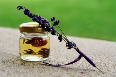 Beautiful Flowers beautiful photo beverage photo