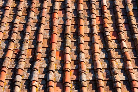 Architectural Style architecture brown