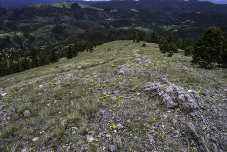 Looking on from the top of Mount Helena