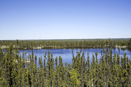 Pond in the forest overlook on the Ingraham Trail photo