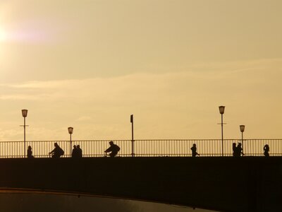 Silhouette web street lamp