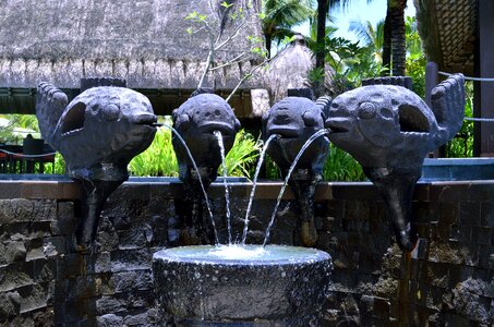 Fountain garden landscape