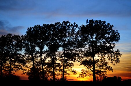 Sunset landscape trees photo