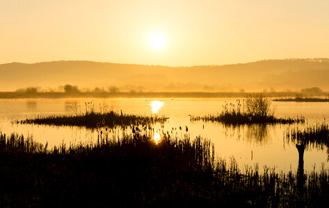 Dawn over the Marsh photo