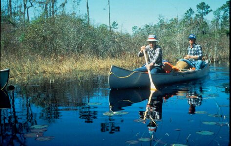 Canoe paddle photo
