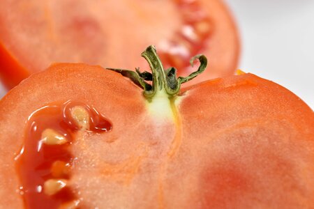Close-Up cross section seed