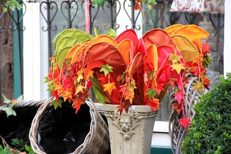 Autumn leaves leaf