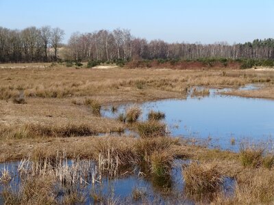 Natural water landscape of course