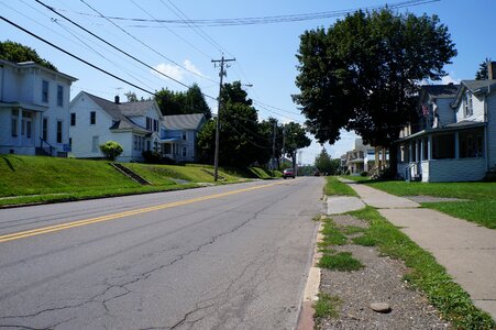 Outdoor asphalt tree