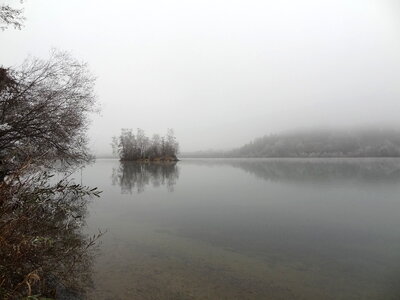 river and fog photo