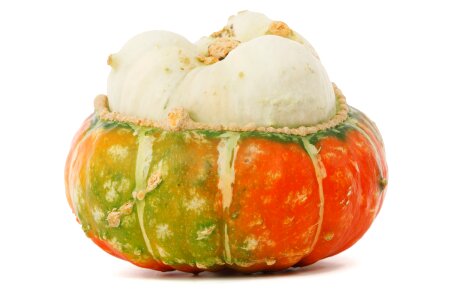 Fresh gourd halloween photo