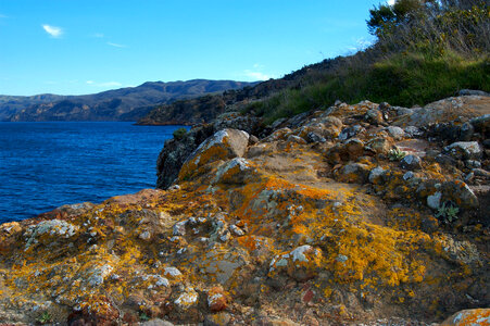 Shoreline and Landscape of Santa Cruz Island in Channel Islands National Park, California photo