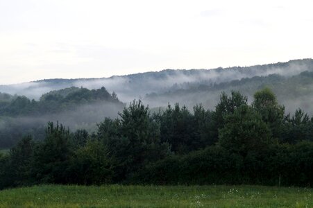 In the evening nature fog photo