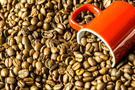 Coffee Beans & Cup photo