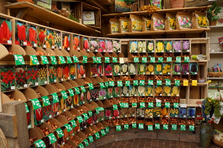 packed seeds at store for gardener photo
