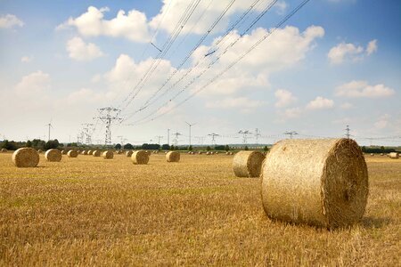 Round bales hay straw
