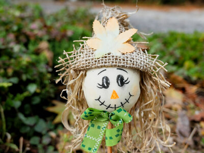 Scarecrow photo