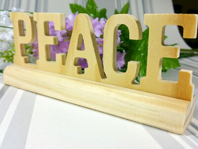 Flowers wood background