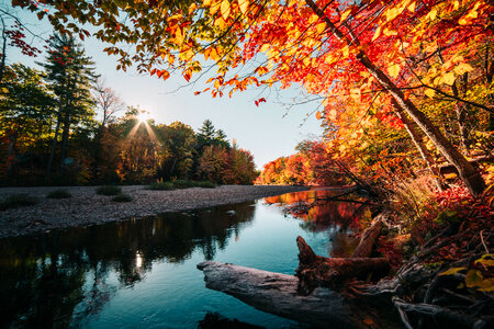 Calm River in the Autumn photo