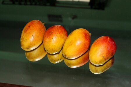 Orange fruits four